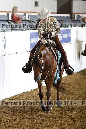 Proof Number 10r9_4371