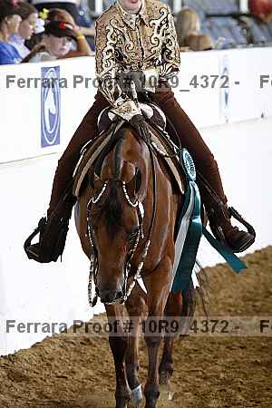 Proof Number 10r9_4372