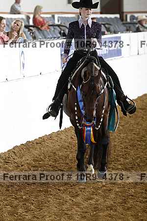 Proof Number 10r9_4378