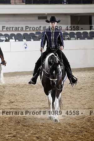 Proof Number 10r9_4558