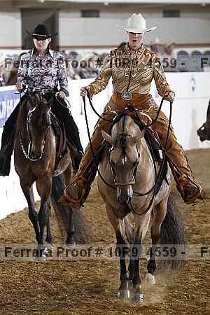 Proof Number 10r9_4559