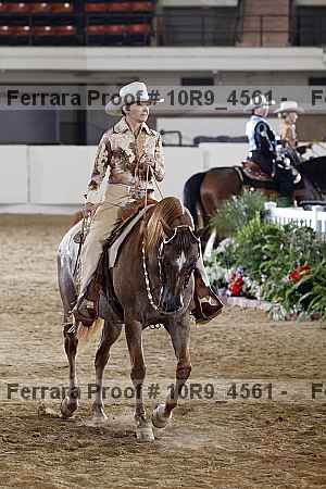 Proof Number 10r9_4561