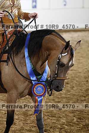 Proof Number 10r9_4570