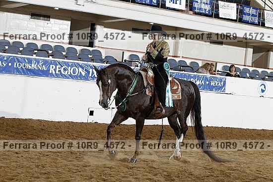 Proof Number 10r9_4572