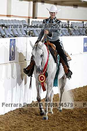 Proof Number 10r9_4579