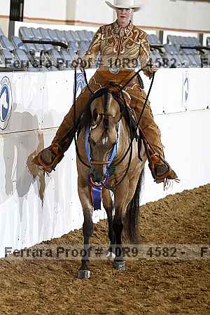 Proof Number 10r9_4582