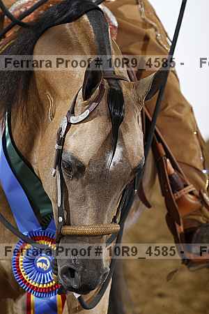 Proof Number 10r9_4585