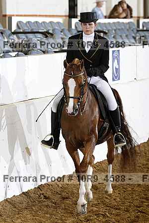 Proof Number 10r9_4588