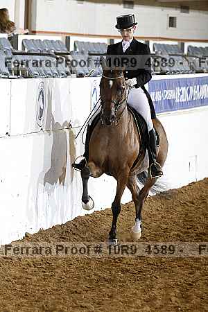 Proof Number 10r9_4589