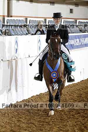 Proof Number 10r9_4609