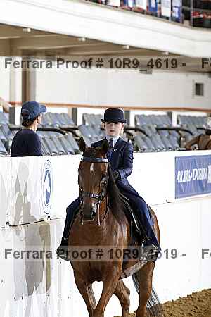 Proof Number 10r9_4619