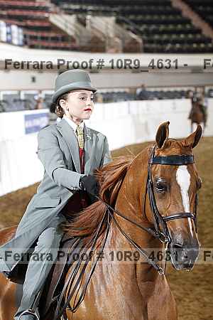 Proof Number 10r9_4631
