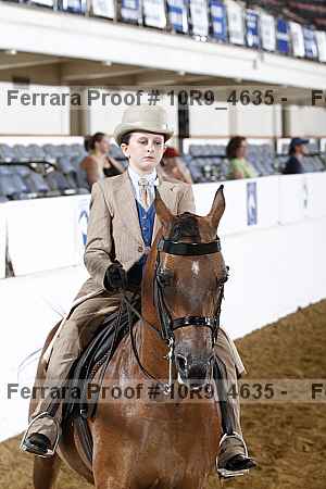 Proof Number 10r9_4635