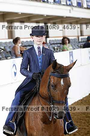 Proof Number 10r9_4639