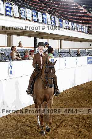 Proof Number 10r9_4644