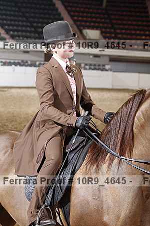 Proof Number 10r9_4645