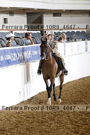 Proof Number 10r9_4647