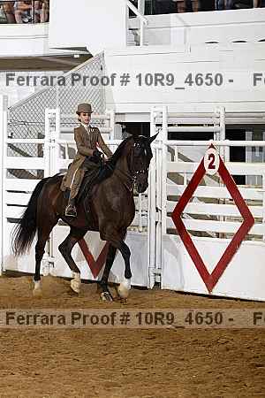 Proof Number 10r9_4650