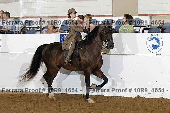 Proof Number 10r9_4654