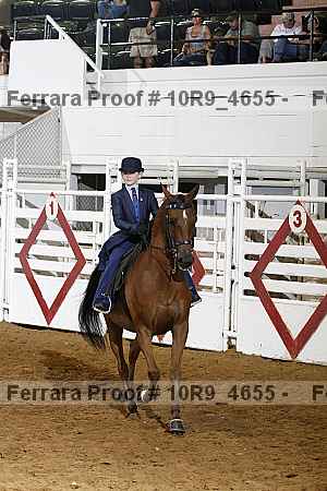 Proof Number 10r9_4655