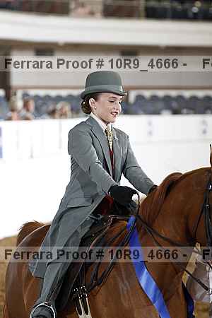 Proof Number 10r9_4666