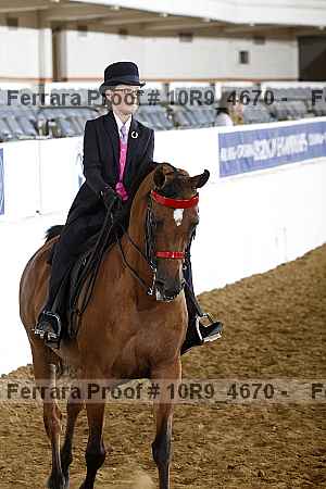 Proof Number 10r9_4670