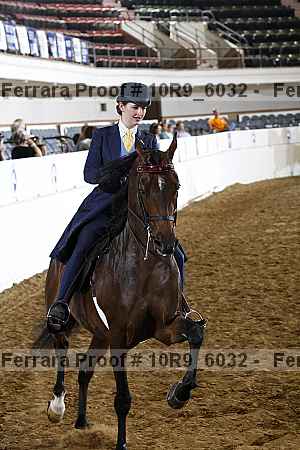 Proof Number 10r9_6032