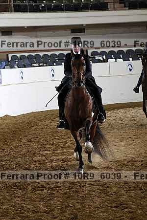 Proof Number 10r9_6039