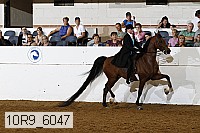 10r9_6047 thumbnail