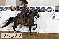 10r9_6048 thumbnail