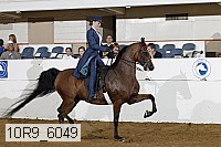 10r9_6049 thumbnail