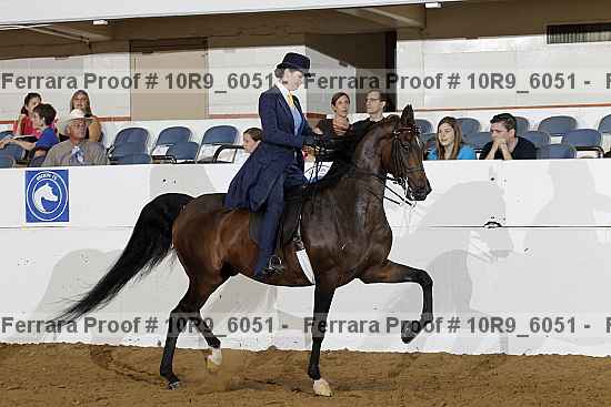 Proof Number 10r9_6051