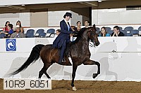 10r9_6051 thumbnail