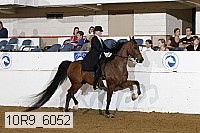 10r9_6052 thumbnail