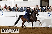 10r9_6053 thumbnail
