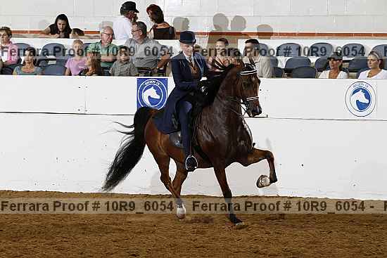 Proof Number 10r9_6054