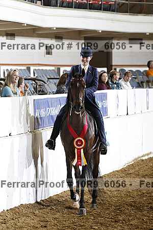 Proof Number 10r9_6056