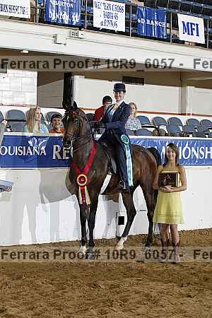 Proof Number 10r9_6057