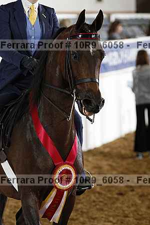 Proof Number 10r9_6058