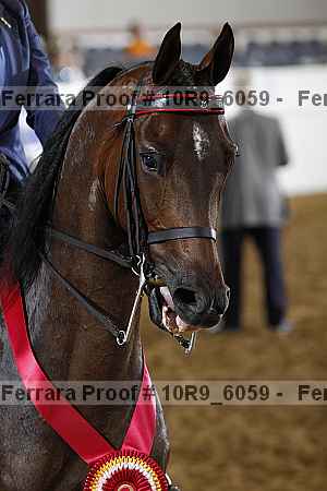 Proof Number 10r9_6059