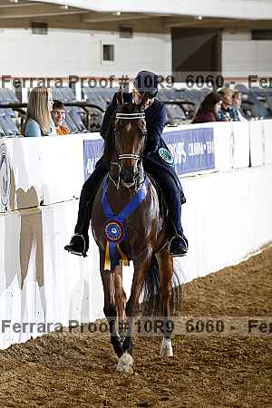 Proof Number 10r9_6060