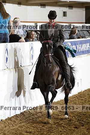 Proof Number 10r9_6063
