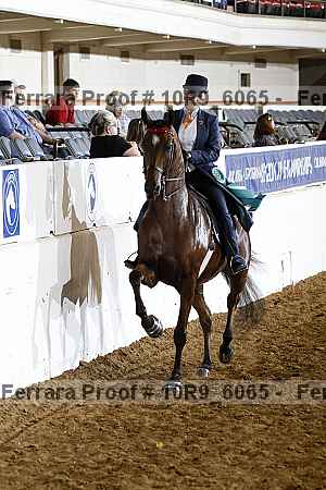 Proof Number 10r9_6065