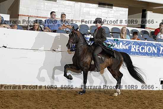 Proof Number 10r9_6066