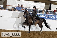 10r9_6066 thumbnail
