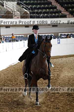 Proof Number 10r9_6067