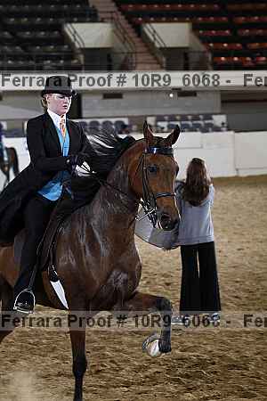 Proof Number 10r9_6068