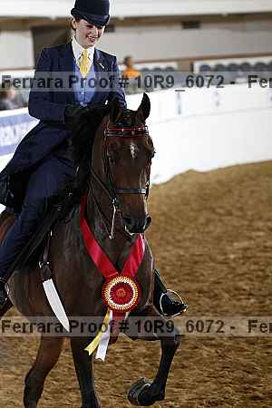 Proof Number 10r9_6072