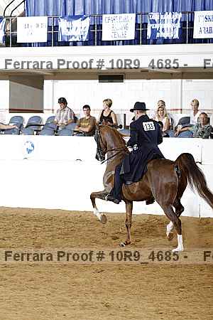 Proof Number 10r9_4685