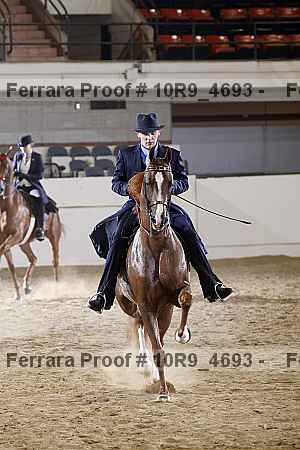Proof Number 10r9_4693
